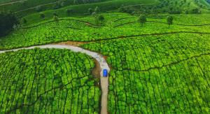 Fotografie z fotogalerie ubytování Wildnature v destinaci Devikolam