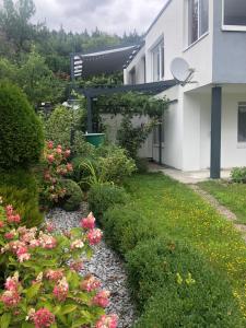 un jardín con flores rosas junto a un edificio en Apartment Lucy, en Tuttlingen