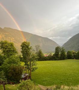 a rainbow over a green field with a tree at Ferienwohnung Sunnseitn in Bayrischzell