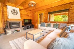 a living room with a couch and a fireplace at Le Chant du Ruisseau SPA - Sauna in Le Tholy