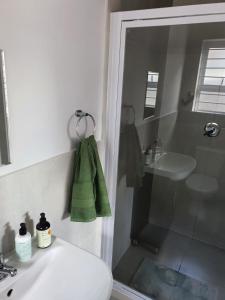 y baño con ducha, aseo y lavamanos. en Stellenbosch Idasvalley Gem, en Stellenbosch