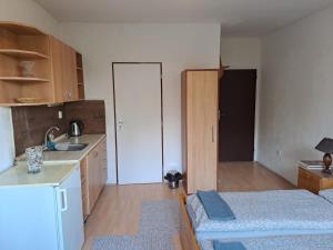 a small kitchen with a sink and a room with a bed at Apartmán s terasou in Olomouc