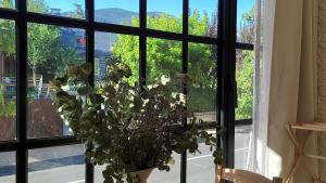 un jarrón con una planta delante de una ventana en Estudio con Encanto en Navacerrada, en Navacerrada