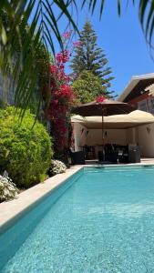 Kolam renang di atau dekat dengan Studio with Private Swimming Pool and Garden