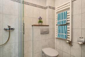 a bathroom with a toilet and a glass shower at Drei-Mädelhaus Ambs Wohnung 2 in Gornhofen +15 photos