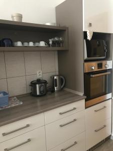 a kitchen with a microwave oven and a stove at Apartmán Pod Věží in Telč