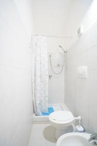 een witte badkamer met een toilet en een douche bij La casetta delle barche in Riomaggiore