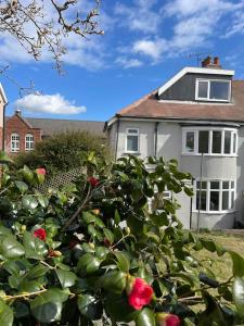 a white house and a bush with red roses at Home away from home in Sheffield