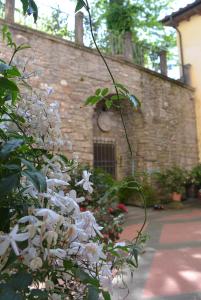 Zahrada ubytování Palazzo Torriani