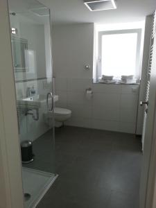a bathroom with a shower and a toilet and a sink at Teck-Apartment in Kirchheim unter Teck