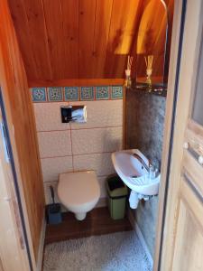 a small bathroom with a toilet and a sink at Zbójecko Chata in Bukowina Tatrzańska
