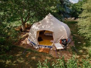 a tent is set up in a field at South Devon Luna Bell Tent in Newton Abbot