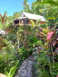 a house in the middle of a jungle with a stone path at Pension LE PASSAGE in Vaitoare