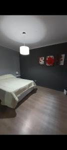 a bedroom with a bed and a light on the wall at Eli 2 Céntrico Mendoza in Mendoza