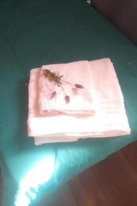 Fotografie z fotogalerie ubytování En Concordia, casa estilo industrial con amplio patio a 10 minutos de la plaza principal v destinaci Concordia