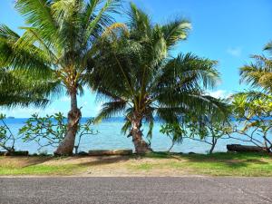 two palm trees on a beach near the ocean at Pension LE PASSAGE in Vaitoare +14 photos