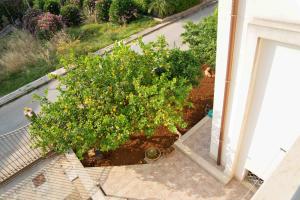 Imagen de la galería de Il Tramonto B&B, en Castelluzzo 98 fotos más