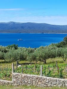 a field with a stone wall and a boat in the water at Holiday home Ivan Bol in Bol