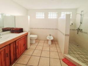 ein Bad mit einem WC, einem Waschbecken und einer Dusche in der Unterkunft Bastide sur Mer in Blue Bay