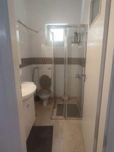 ein Bad mit einer Dusche, einem WC und einem Waschbecken in der Unterkunft Alex apartments relax in Agia Marina Mikrolimanou