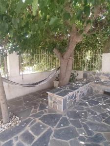 un albero seduto accanto a un'amaca sotto un albero di Alex apartments relax a Agia Marina Mikrolimanou