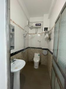 een kleine badkamer met een wastafel en een toilet bij Phước Hưng Tam Cốc Homestay in Ninh Binh