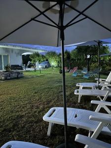 Zahrada ubytování Casa vacanza le tre palme