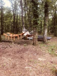 een paar hangmatten in een bos met bomen bij Appartement en pleine forêt in Sainte-Hélène