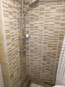 Un baño con ducha y WC. en The little White House, en Sibiu