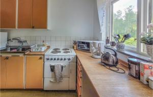 1 Bedroom Amazing Apartment In Frbo في Fårbo: طاولة مطبخ مع موقد ومغسلة
