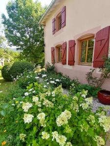 einen Garten mit weißen Blumen vor einem Haus in der Unterkunft Maison de 3 chambres avec jardin amenage et wifi a Taintrux in Taintrux