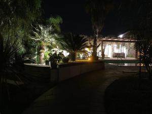 een nachtzicht op een huis met palmbomen bij The Bamboo villa in Casale la Cogna