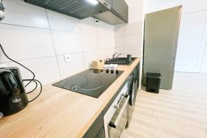 - une cuisine avec un comptoir et un évier dans l'établissement Terrace on Montbonnot - INOVALLÉE #FR, à Montbonnot-Saint-Martin