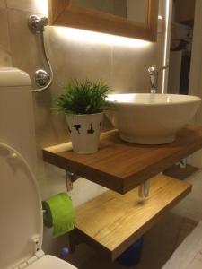 łazienka z umywalką i doniczkową rośliną w obiekcie Holiday Home Pure Nature w mieście Tkon