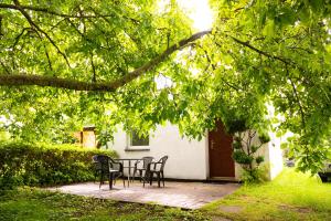 a patio with chairs and a table under a tree at Domek Letniskowy Soluch in Rewal