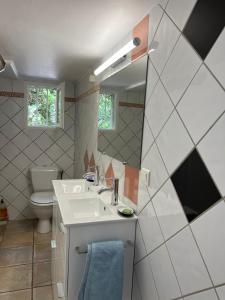 uma casa de banho com um lavatório, um WC e um espelho. em SOURCE D'HARMONIE L'Écureuil Terres Rouges La Rocaille l'Olivier em Meyreuil