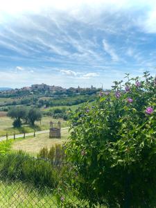 uma vista para um campo com uma cerca e flores em L'Antica Colombaia; Apartment with private entrance em Ostra