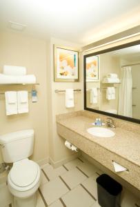 bagno con servizi igienici, lavandino e specchio di Fairfield Inn & Suites by Marriott Chesapeake Suffolk a Chesapeake