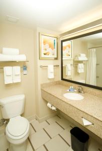 a bathroom with a toilet and a sink and a mirror at Fairfield Inn & Suites by Marriott Chesapeake Suffolk in Chesapeake