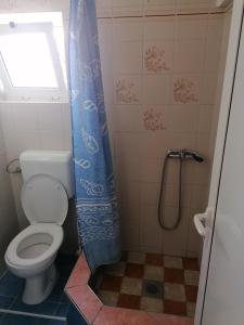 łazienka z toaletą i niebieską zasłoną prysznicową w obiekcie Apartmani Marija i Josip w mieście Vir