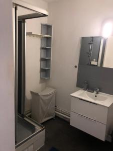 La salle de bains est pourvue d'un lavabo et d'un miroir. dans l'établissement Thiais/Orly: grand F2 lumineux, à Thiais
