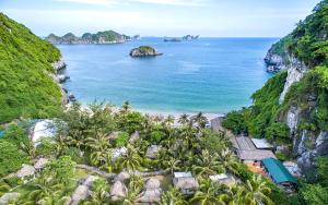 an aerial view of a beach with palm trees and the ocean at PHÚC AN HOSTEL in Cat Ba