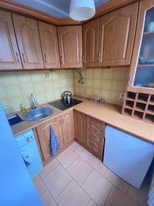 a small kitchen with wooden cabinets and a sink at Night Host Matejki 4 in Bytom