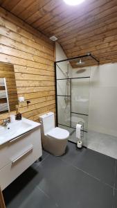 a bathroom with a toilet and a sink and a shower at Cabanele CARMEL in Muntele Rece