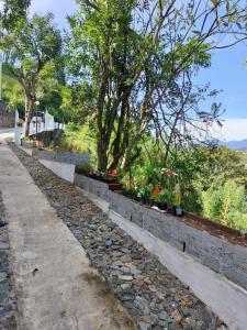 a row of plants in a garden with trees at Elegant Hotel in Bandarawela