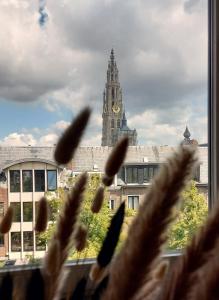 Foto Antwerpenis asuva majutusasutuse The Roof - Rooftop appt in historical center galeriist