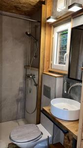 a bathroom with a shower and a toilet and a sink at Chalet dans les arbres in Nice