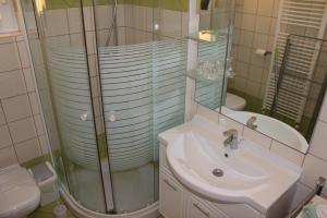 ein Badezimmer mit Waschbecken, Dusche und Toilette in der Unterkunft Comfortable Apartment Lavanda in Kornić + 29 Fotos