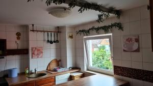 a kitchen with a sink and a window at Pension Kapellenstraße - Ferienwohnung mit individueller Ausstattung - jedes Zimmer ist anders Komplette Küche in Erfurt