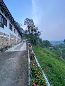 a row of flowers on the side of a building at Elegant Hotel in Bandarawela